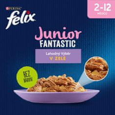 Felix hrana za mačke Fantastic Junior s piščancem in lososom v želeju, 12 (4x85 g)