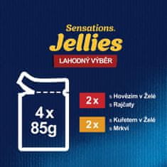 Felix Sensations Jellies govedina in piščanec v želeju, 48x85 g