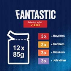 Felix hrana za mačke Fantastic s piščancem, govedino, zajcem in jagnjetino v želeju, 72 x 85 g