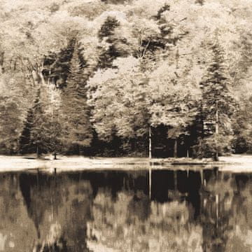 Casadeco Tapeta AUTUMN 9514 iz kolekcije IMPRESSION