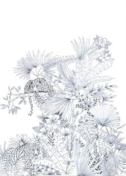 Caselio Ozadje KENYA 9919 iz kolekcije IMPRESSION