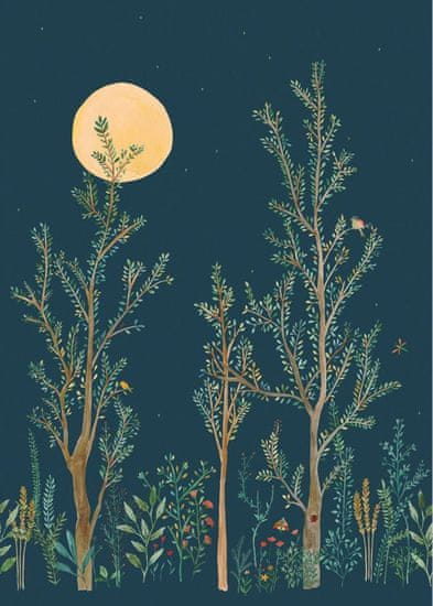 Caselio Tapeta MIDNIGHT WALK 6520 iz kolekcije LANDSCAPE