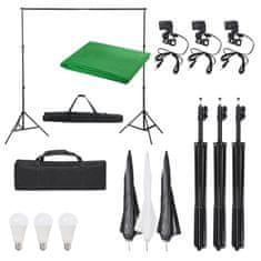Vidaxl Komplet za foto studio z lučmi in ozadjem
