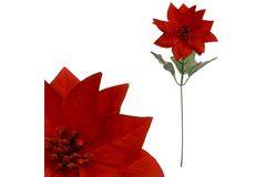 Autronic Umetna roža. božične zvezde, božična vrtnica , Rdeča barva 1-hlavá UK-0025