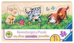 Ravensburger Leseni vložek Cubs