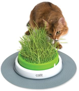 Hagen pripomoček za gojenje trave Grass Planter Catit 2.0