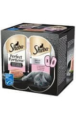 Sheba žep Perfect Portions z lososom 3x75g