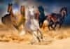 ENJOY Puzzle Konji v galopu v puščavi 1000 kosov