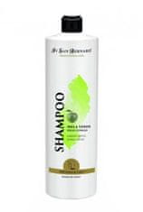 San Bernard šampon z zelenim jabolkom 500ml