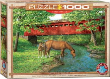 EuroGraphics Sestavljanka Most pri Sweet Water 1000 kosov