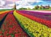 Puzzle Polje tulipanov (HDR) 1000 kosov