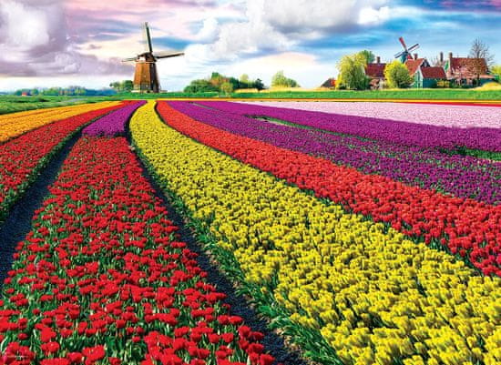 EuroGraphics Puzzle Polje tulipanov (HDR) 1000 kosov