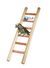 Lesena lestev za papige in ptice 50cm