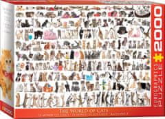 EuroGraphics Puzzle Svet mačk 2000 kosov