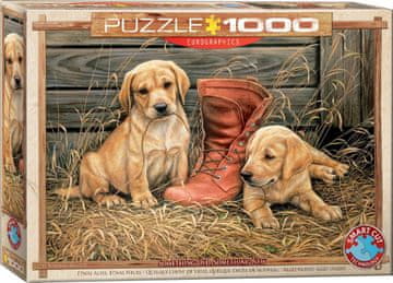 EuroGraphics Puzzle Kužki s starim čevljem 1000 kosov