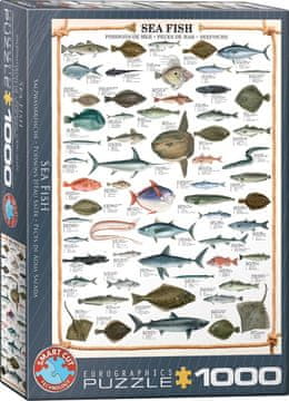 EuroGraphics Puzzle Morske ribe 1000 kosov