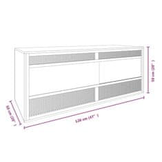Vidaxl Terarij iz konstruiranega lesa 120x50x50 cm