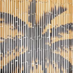 Greatstore Zavesa za vrata iz bambusa 90x200 cm