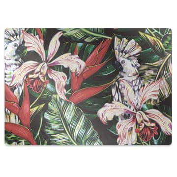 Decormat Podloga za stol Parrot in the tropics