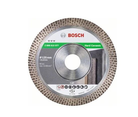 Bosch GRESE DIAMANTNI CILJ 125x22mm CELOTNA