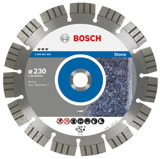 Bosch DIAMANT TAR 125x22 SEG STONE