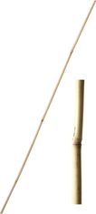 Bambusova palica 61 cm debeline 6-8 mm - 10 kosov