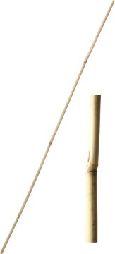 Bambusova palica 61 cm debeline 6-8 mm - 10 kosov