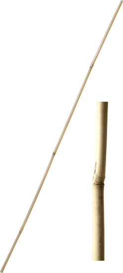 Bambusova palica 61 cm debeline 8-10 mm - 10 kosov