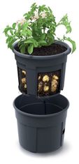Prosperplast Sadilnik za krompir POTATO GROWER 39,2 cm antracit