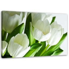 shumee Slika, Beli tulipani - 100x70