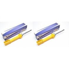 TATechnix Set (2 kos) sprednjih športnih amortizerjev za Renault 19 II Karoserie (S53_)