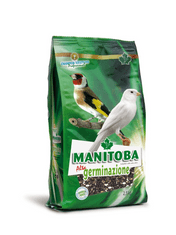 Manitoba Kalitvena mešanica Visoka kalitev 2,5 kg