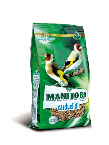 Manitoba Carduelidi hrana za ščitnike 800 g