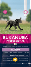 Eukanuba Hrana za pse Puppy & Junior Large, 18 kg