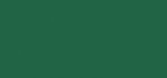 Rayher.	 Blazinica za žige "Versacolor", tem. zelena, 2,5x2,5 cm