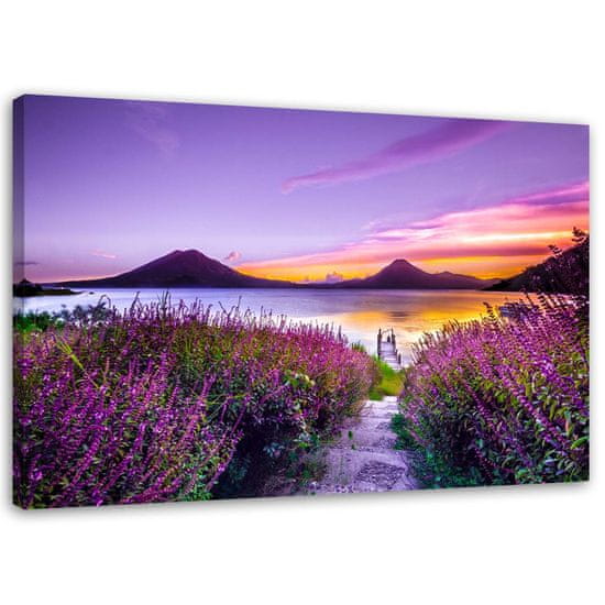 shumee Slika na platnu, Vijolični raj - 60x40