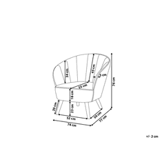Beliani Žametni svetlo sivi fotelj DALA