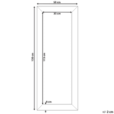 Beliani Srebrno stensko ogledalo 50 x 130 cm DERVAL