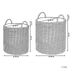 Beliani Komplet 2 košar za rastline iz ratana BITOLA