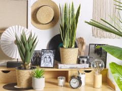 Beliani Umetna rastlina v loncu 52 cm YUCCA