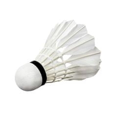 WISH žogice za badminton S505-06 6 kosov
