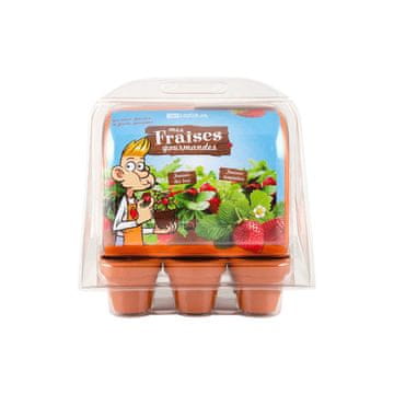 Radis et Capucine Mini rastlinjak za gojenje jagod