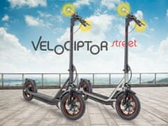Trevi Velociptor Street ES120EW električni skiro, 450W, zložljiv, do 25km, 36V 10Ah, srebrn