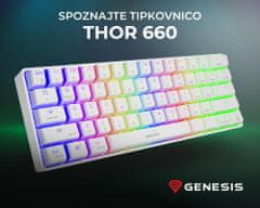 Genesis Thor 660 gaming tipkovnica, mehanska, USB-C, Bluetooth, RGB LED, bela
