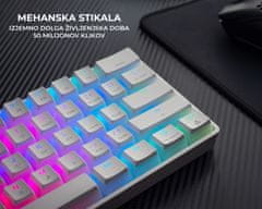 Genesis Thor 660 gaming tipkovnica, mehanska, USB-C, Bluetooth, RGB LED, bela