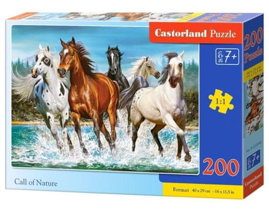 Castorland Puzzle Klic narave 200 kosov