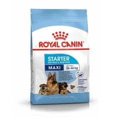 Royal Canin SHN MAXI STARTER M&B 4Kg