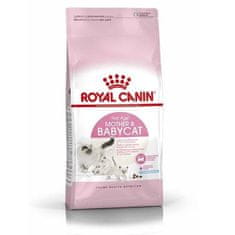 Royal Canin FHN BABYCAT 4kg