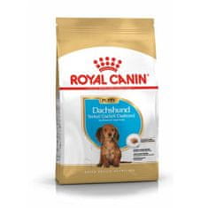 Royal Canin BHN DACHSHUND PUPPY 1,5kg