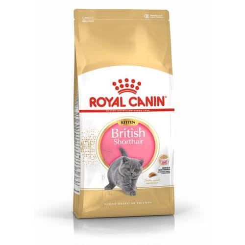 Royal Canin FBN BRITISH SHORT KITTEN 2kg